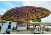 Single Pole Reed Palapa